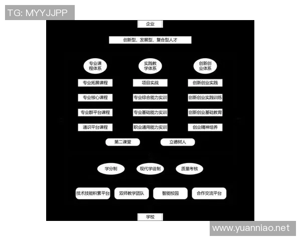 以规则为核心推动社会进步的有效路径探讨与实践分析